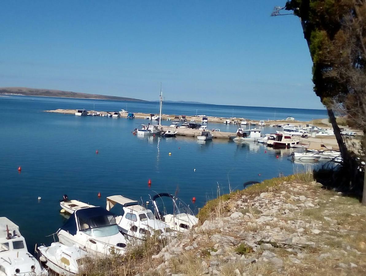 Apartments Orlic Povljana Εξωτερικό φωτογραφία