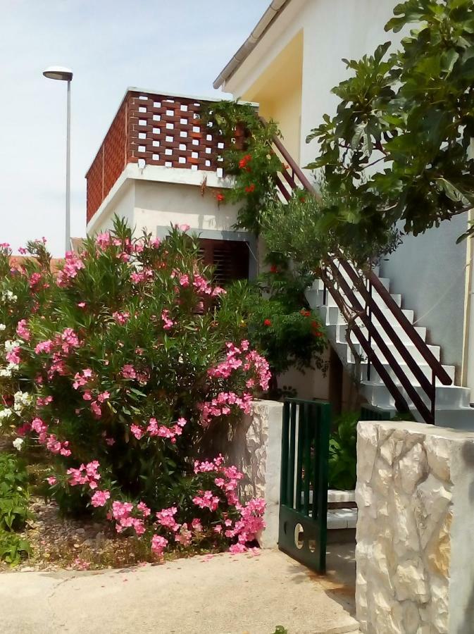 Apartments Orlic Povljana Εξωτερικό φωτογραφία