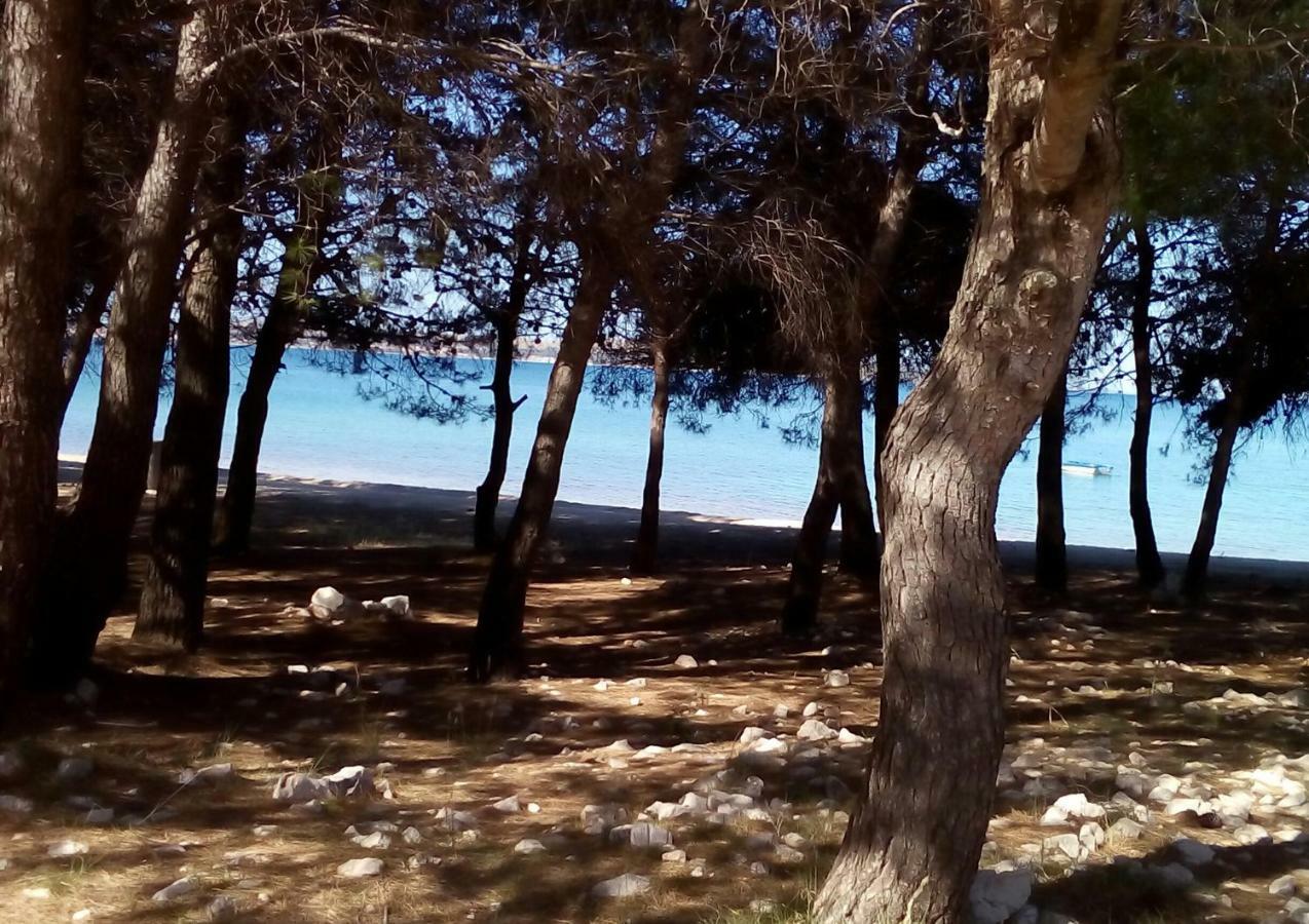 Apartments Orlic Povljana Εξωτερικό φωτογραφία